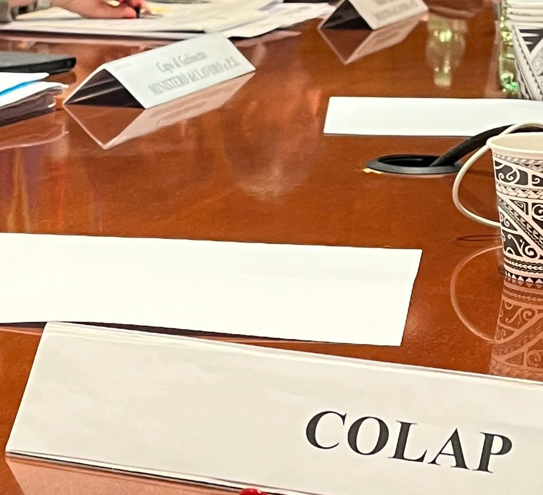 Il CoLAP al tavolo del lavoro autonomo con il Ministro Calderone